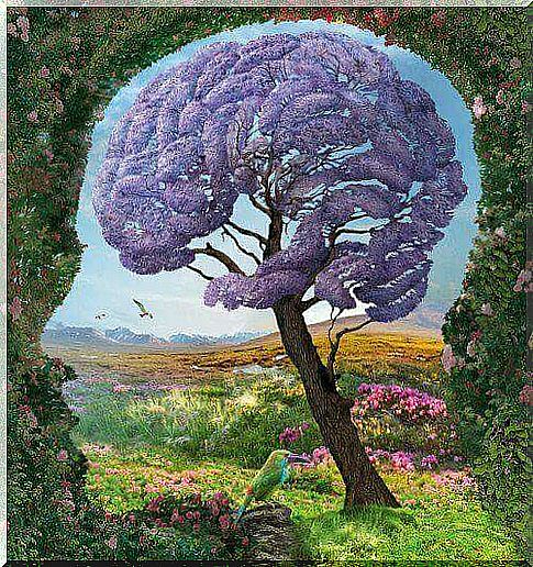 Brain-shaped tree