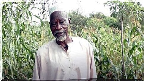 Farmer Yacouba Sawadogo, the man who defeated the Sahara