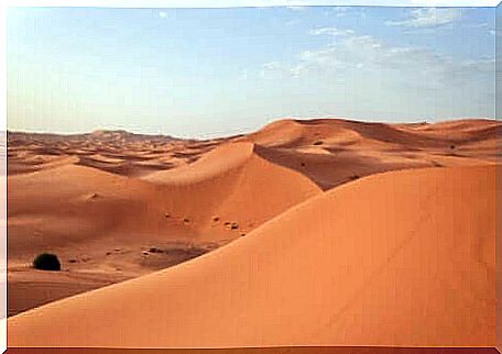 An image of the Sahara Desert