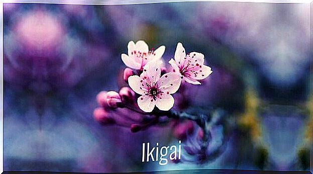 Ikigai flower