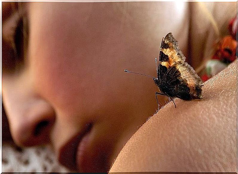 Butterfly on shoulder