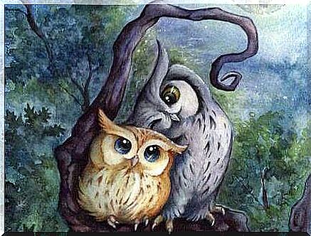 Owls