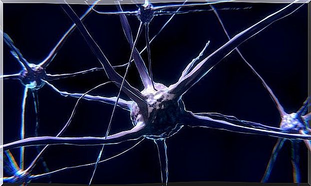 Neurons in the brain: What are they and how do they work?