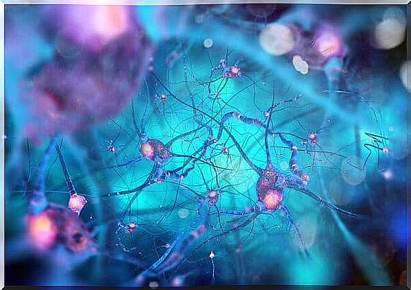 Neurons in different colors.