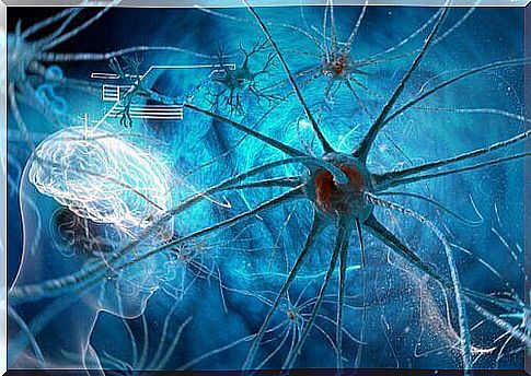 Neuron and brain.