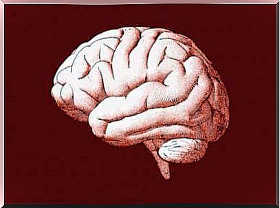 Image of the brain.