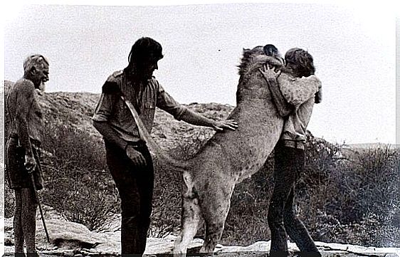 Lion Christian hugs nursing staff