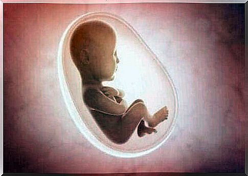 The sensory development in the unborn and newborns